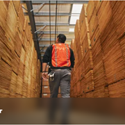 CIPA Lumber Co. Ltd.